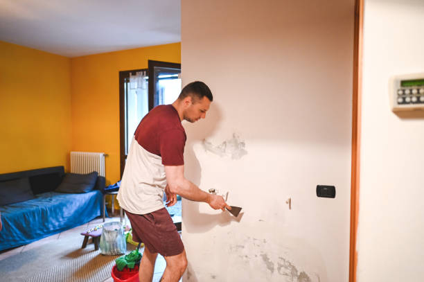 Best Professional Mold Removal  in Howell, MI